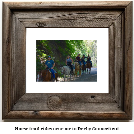 horse trail rides near me in Derby, Connecticut